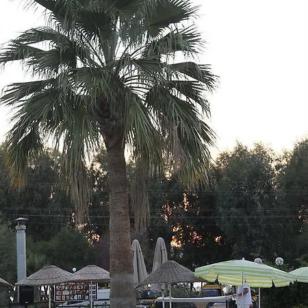 Anadolu Bodrum 호텔 4*